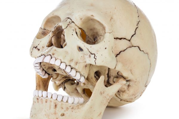 human-skull-isolated-on-white-background-with-clip-2HV8RLP